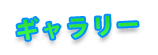 ギャラリー